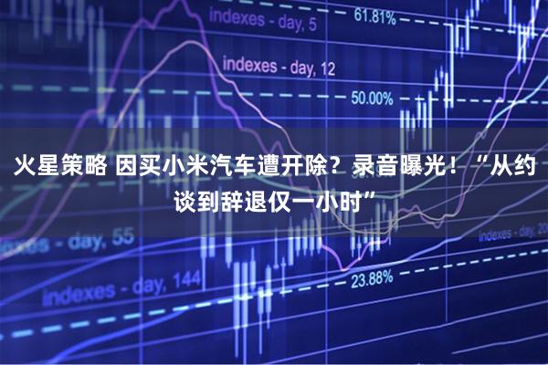 火星策略 因买小米汽车遭开除？录音曝光！“从约谈到辞退仅一小时”