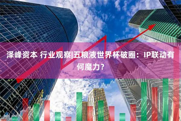 泽峰资本 行业观察|五粮液世界杯破圈：IP联动有何魔力？